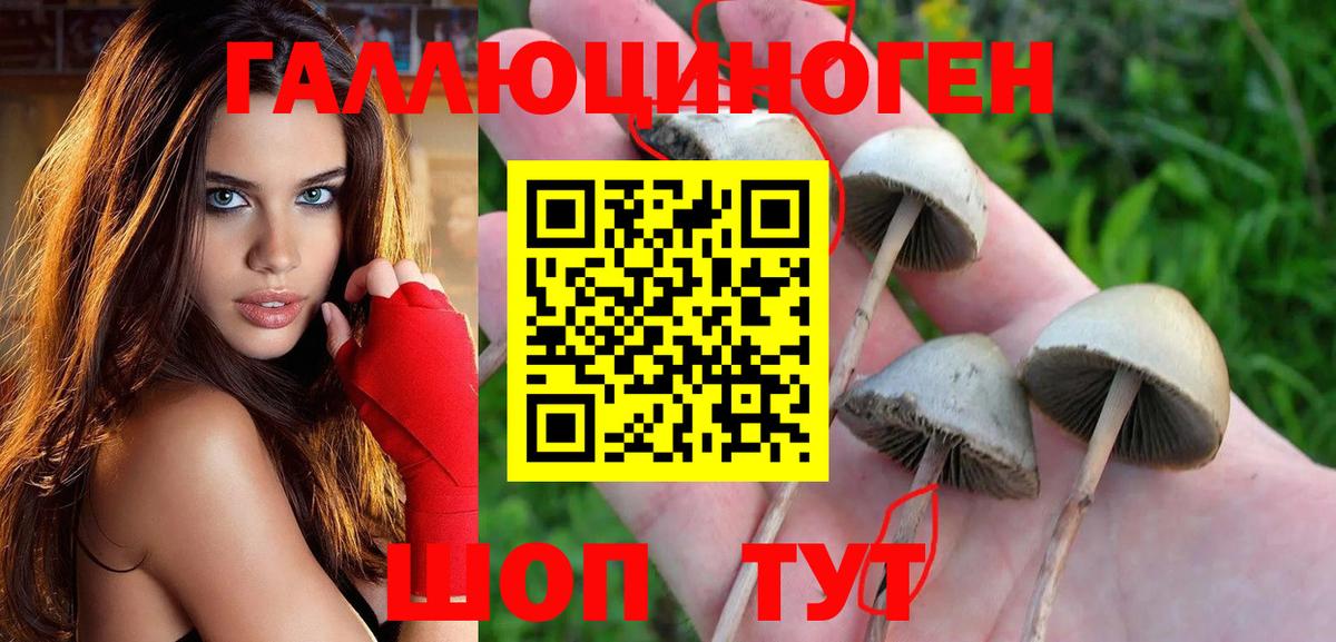 Псилоцибиновые грибы Magic Shrooms Ярославль